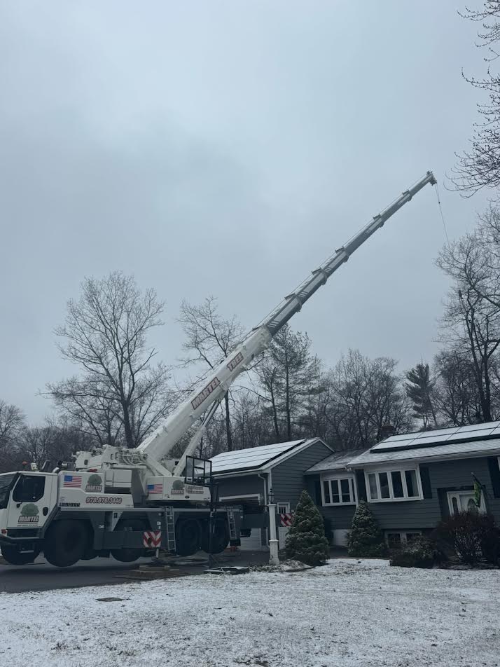 Crane-Assisted Tree Removal in Billerica, MA