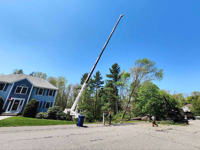 Tree Removal & Crane Service in Dracut, MA.