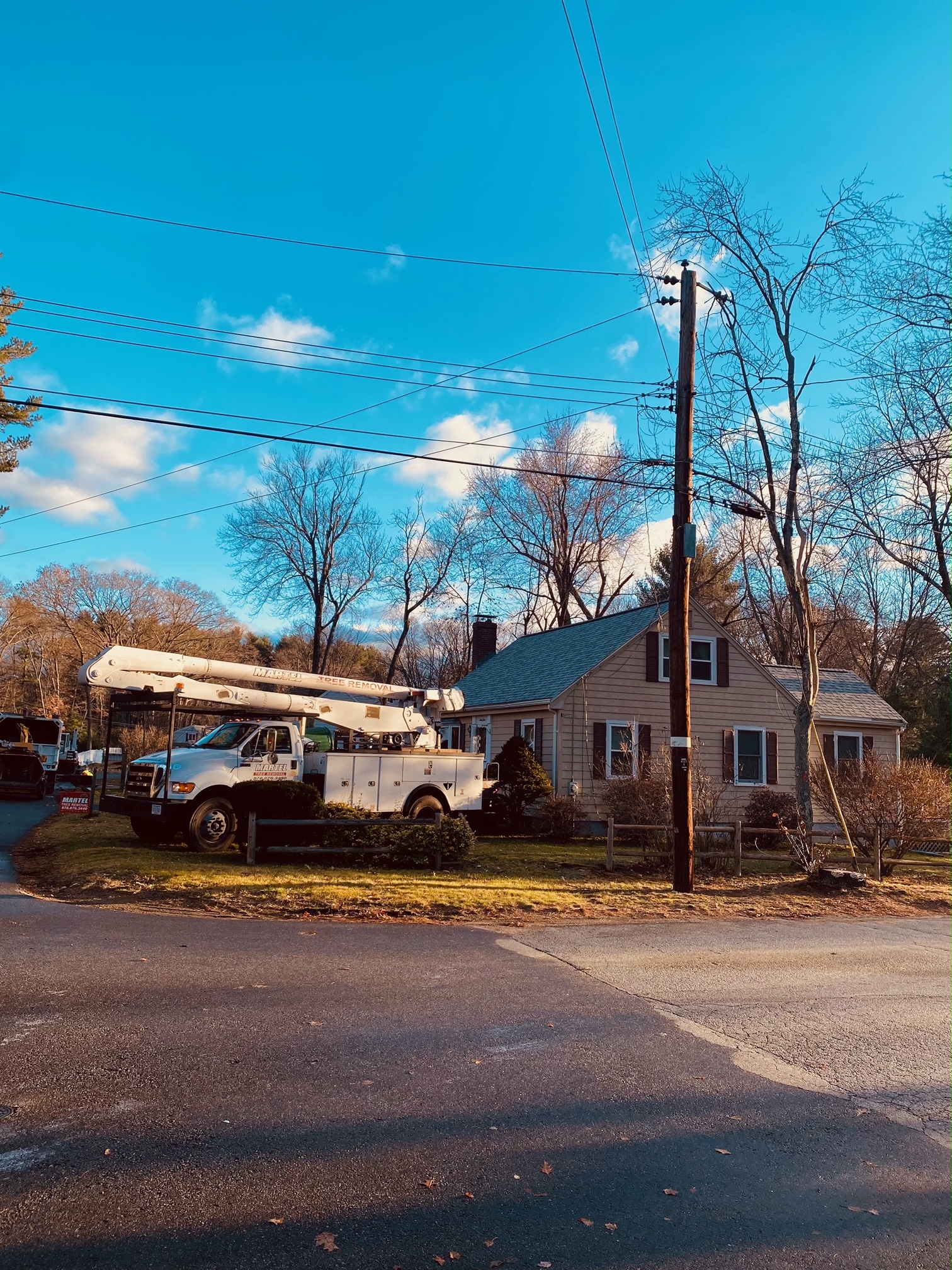 Tree Removal and Bucket Work in Chelmsford, MA.