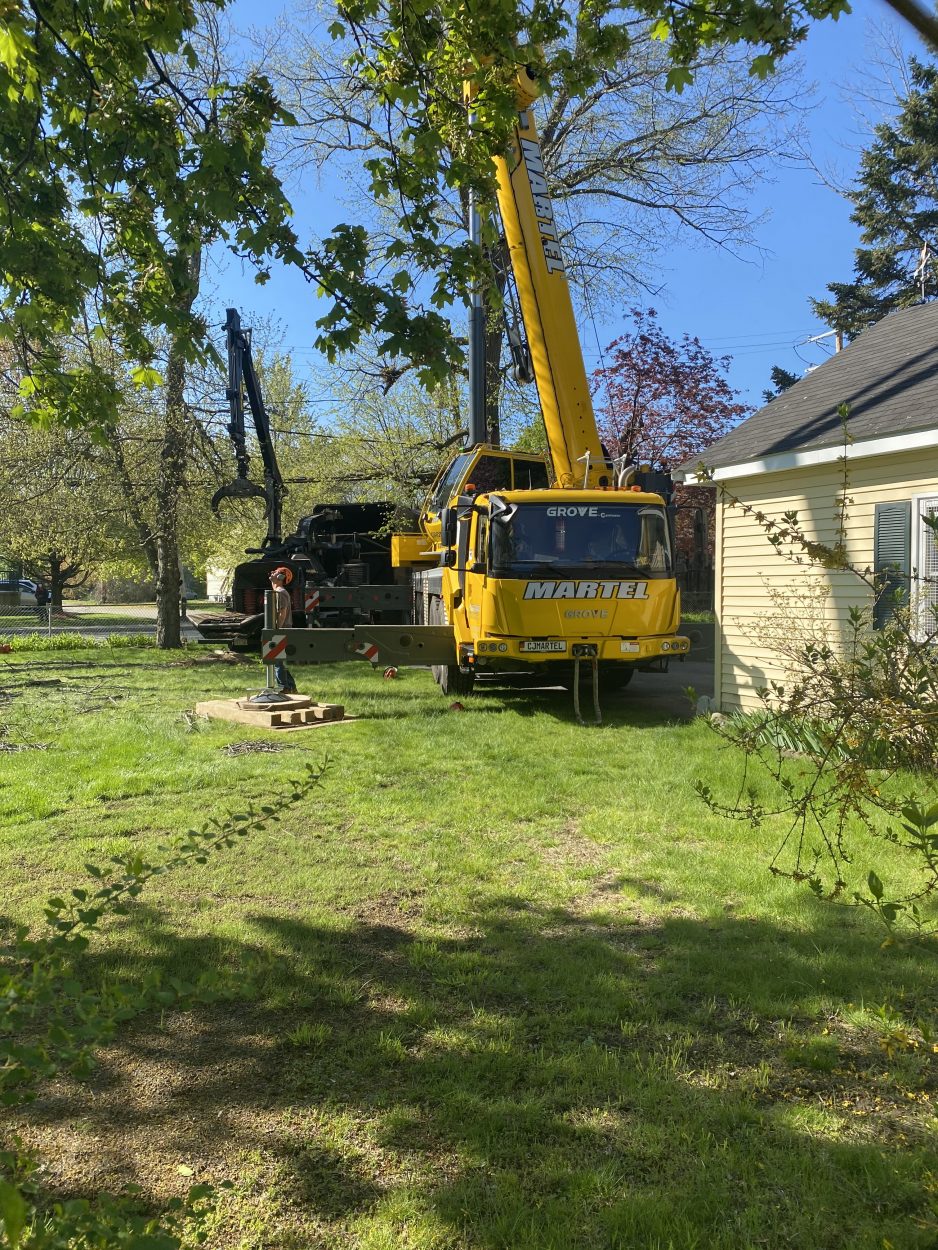 Tree Removal and Crane Service in Bedford, MA.