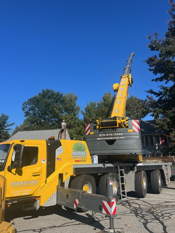 For this project in Chelmsford, MA, Martel Crane Service & Tree Removal safely removed hardwoods from around the property.

