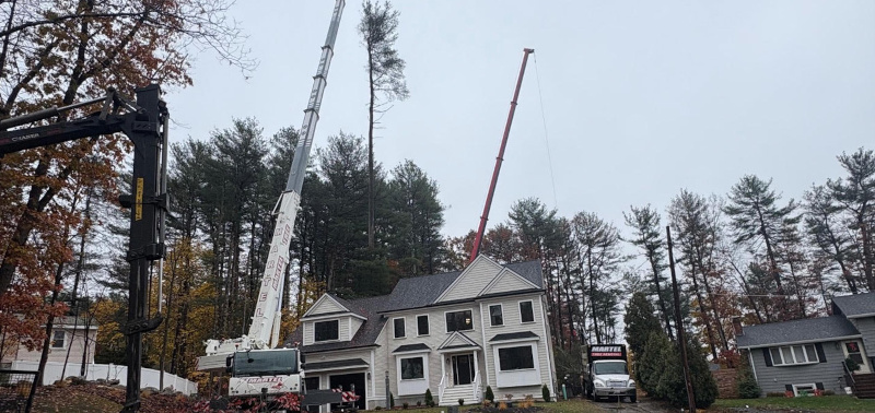 Crane Service & Tree Removal – Burlington, MA