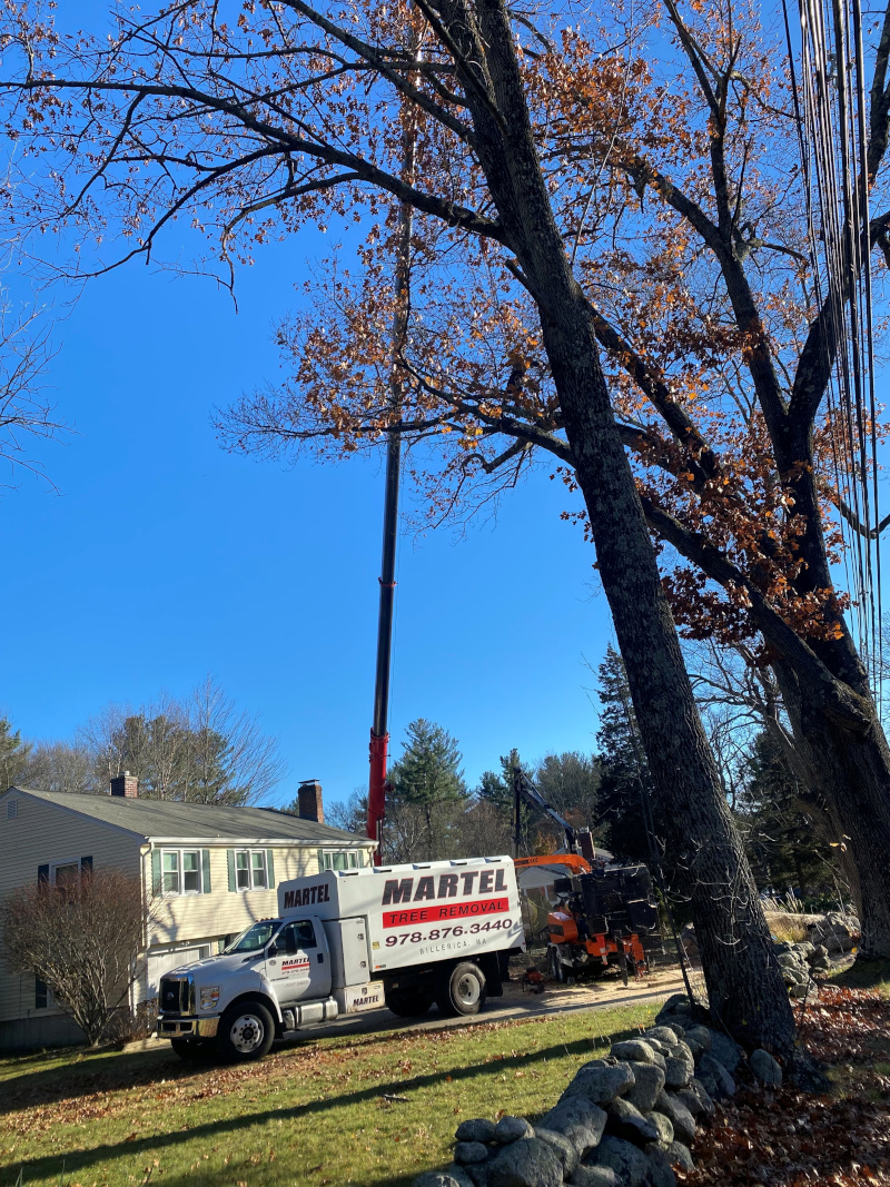 The crew deployed the red crane and chipper at this residence in Billerica, MA to safely remove trees that were positioned dangerously close to the power lines. With careful planning and precise crane operation, we ensured a smooth and secure removal process while protecting the property and surrounding utilities.

Whether you’re improving your landscape or addressing tree damage from wind and seasonal storms, Martel Crane Service & Tree Removal has the equipment and expertise to handle any job. Our team uses our own cranes, bucket trucks, and chippers to deliver fast, reliable service.

📞 Call 978-876-3440 for expert tree removal services.