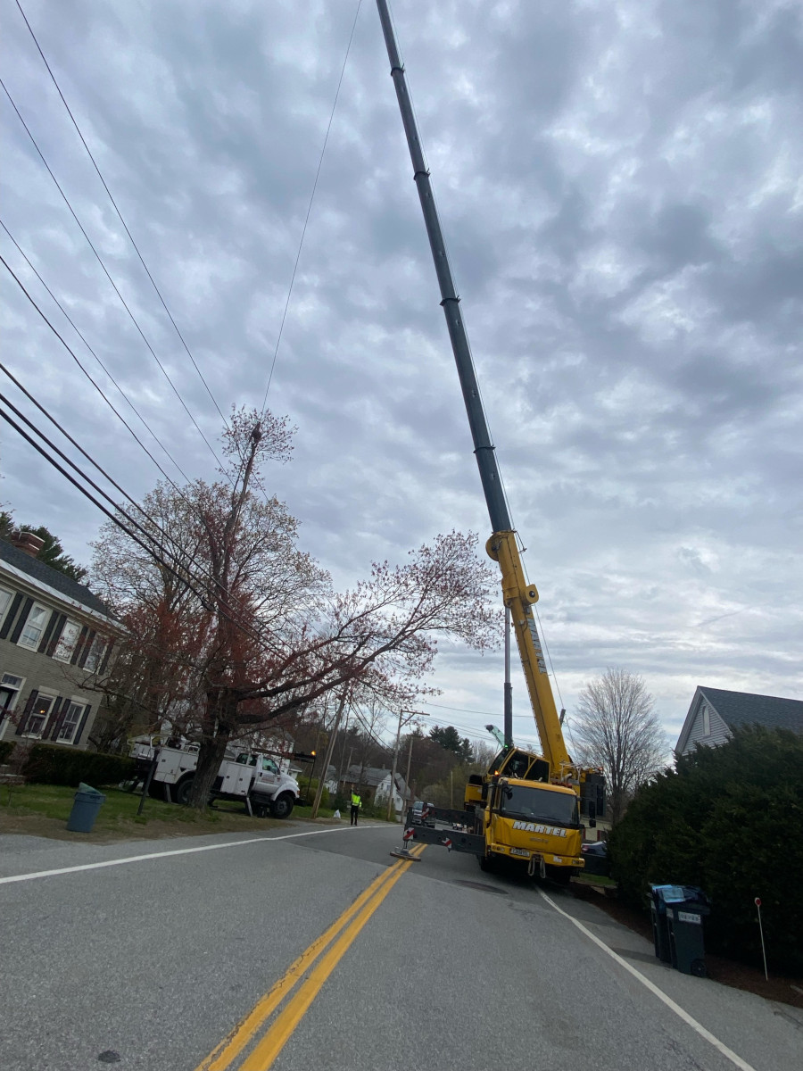 Tree Removal Service in Chelmsford, MA.