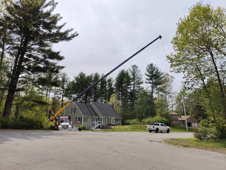 Tree Removal Service in Dracut, MA