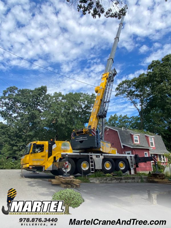 Emergency Tree Removal and Service from a storm in Billerica, MA.