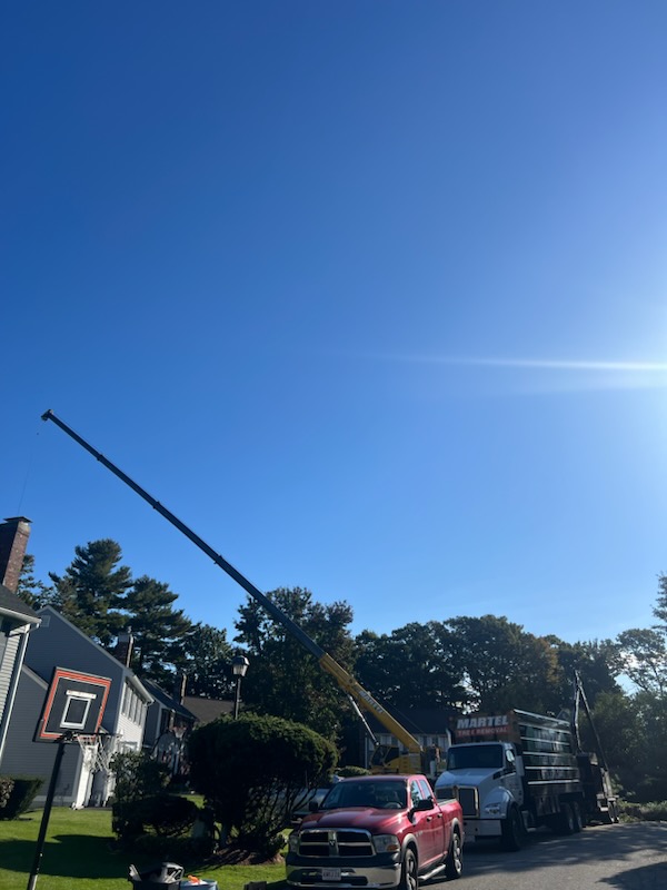 For this project in Chelmsford, MA, Martel Crane Service & Tree Removal safely removed hardwoods from around the property.

