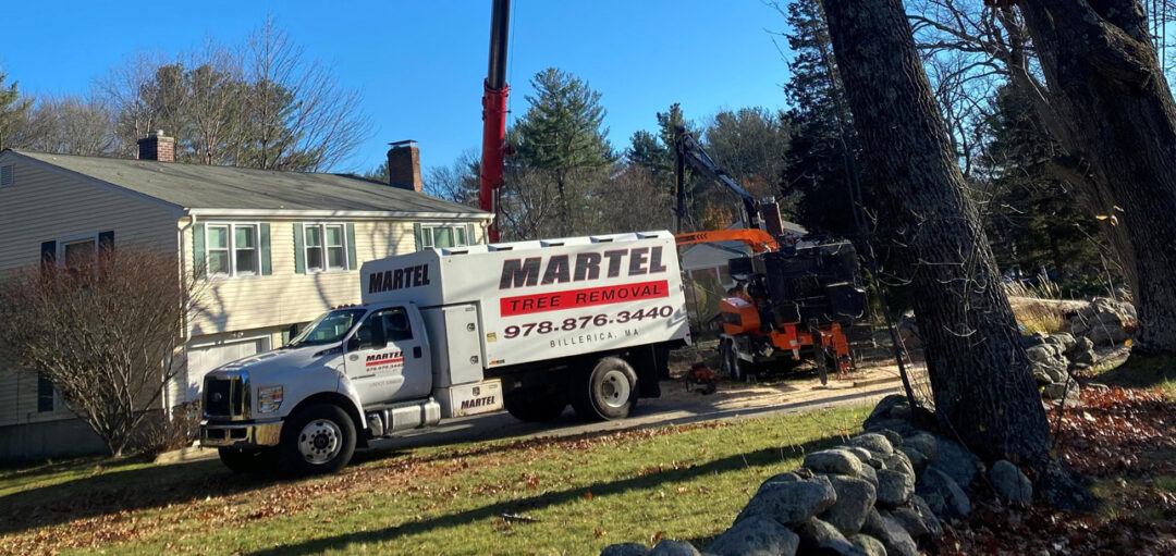 Tree Removal & Crane Service in Billerica, MA