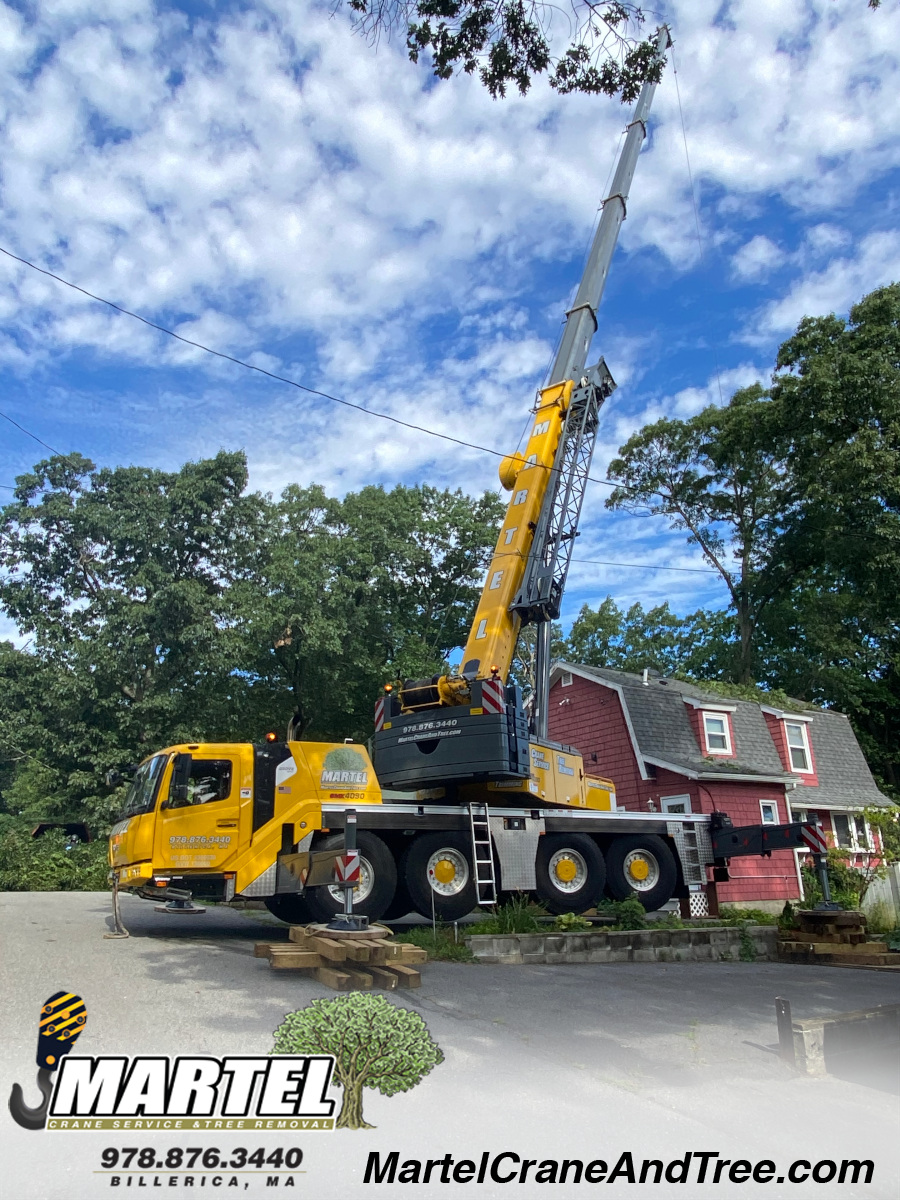 Emergency Tree Removal and Service from a storm in Billerica, MA.