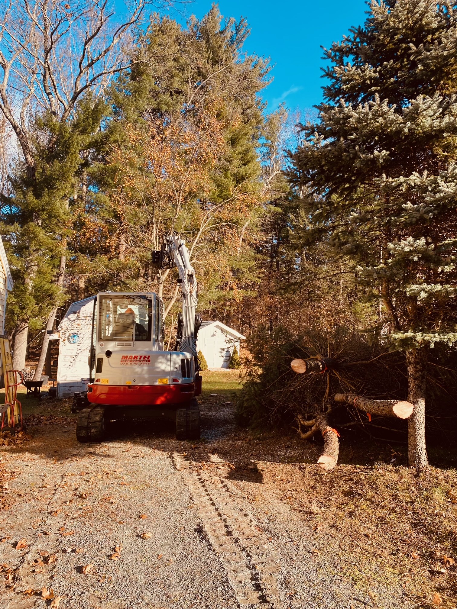 Tree Removal and Bucket Work in Chelmsford, MA.