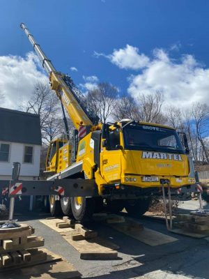 Tree Removal in Lowell MA on a Windy Day