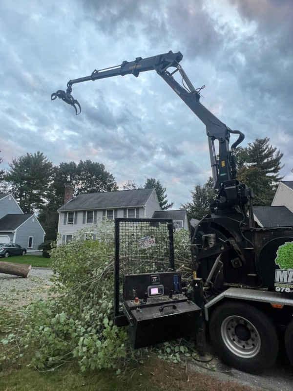 For this project in Chelmsford, MA, Martel Crane Service & Tree Removal safely removed hardwoods from around the property.

