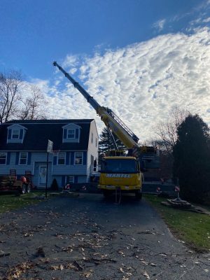 Tree Removal and Crane Service in Billerica, MA.