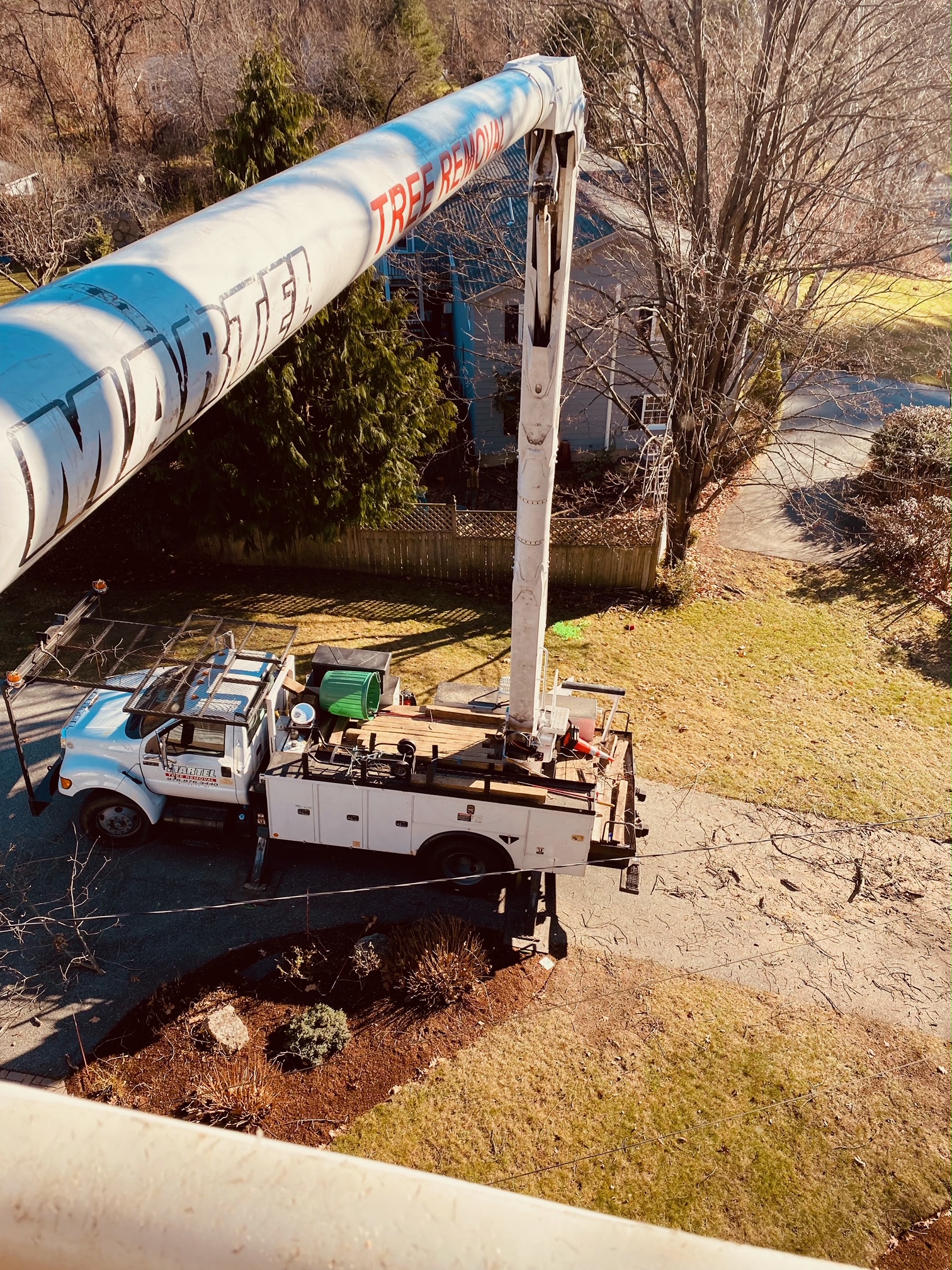 Tree Removal and Bucket Work in Chelmsford, MA.