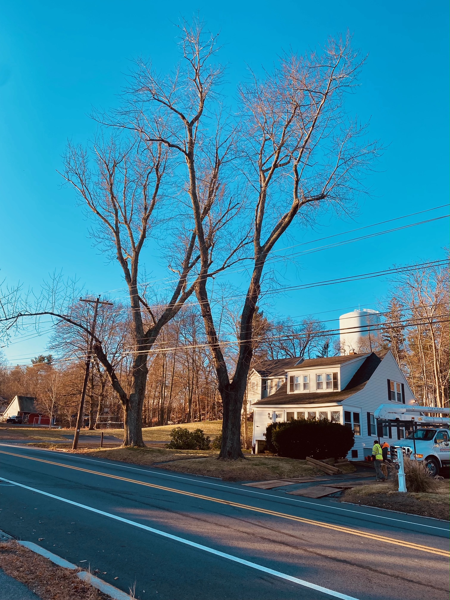 Tree Removal and Crane Rental in Tewksbury and Chelmsford, MA.