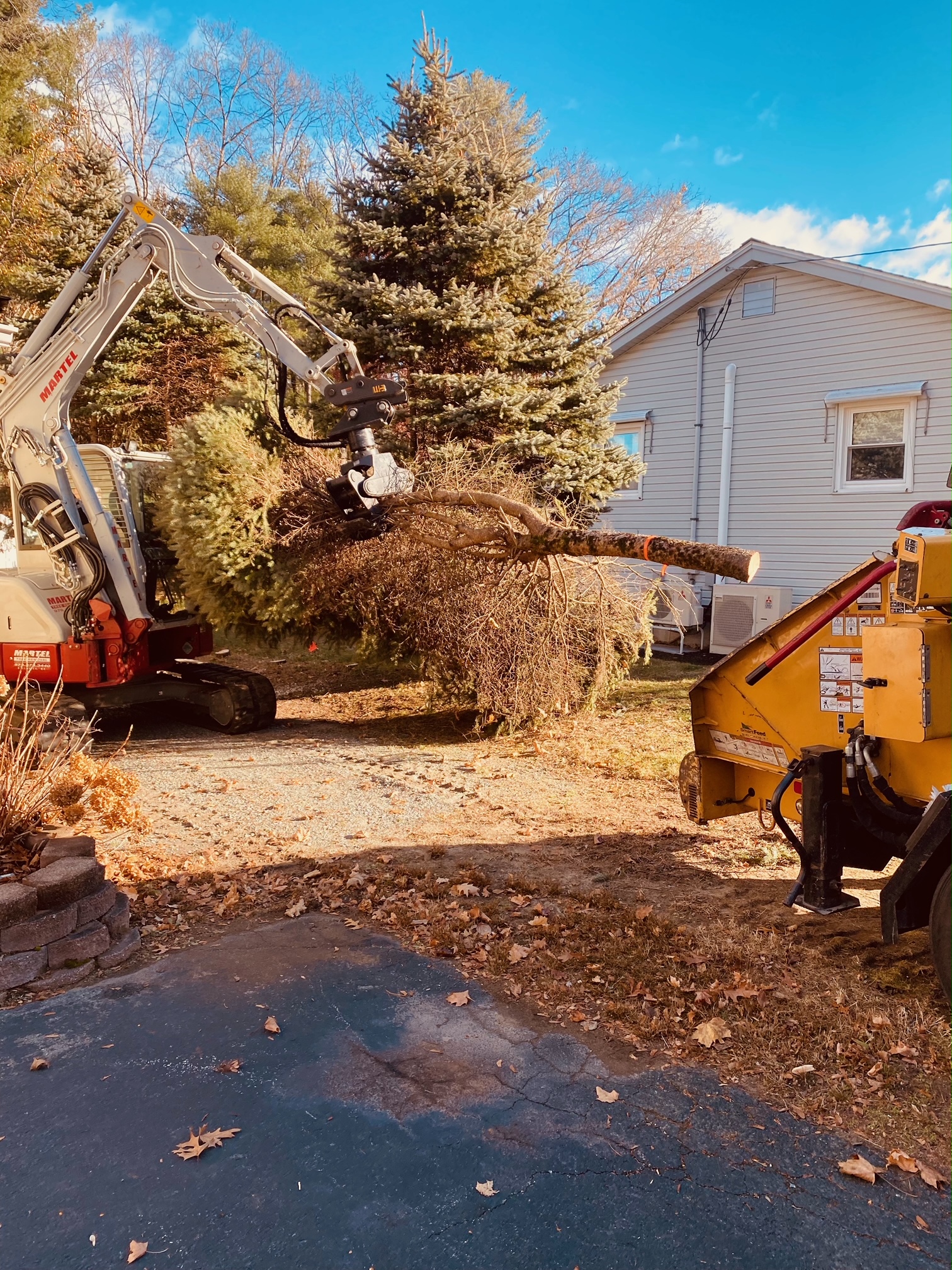 Tree Removal and Bucket Work in Chelmsford, MA.