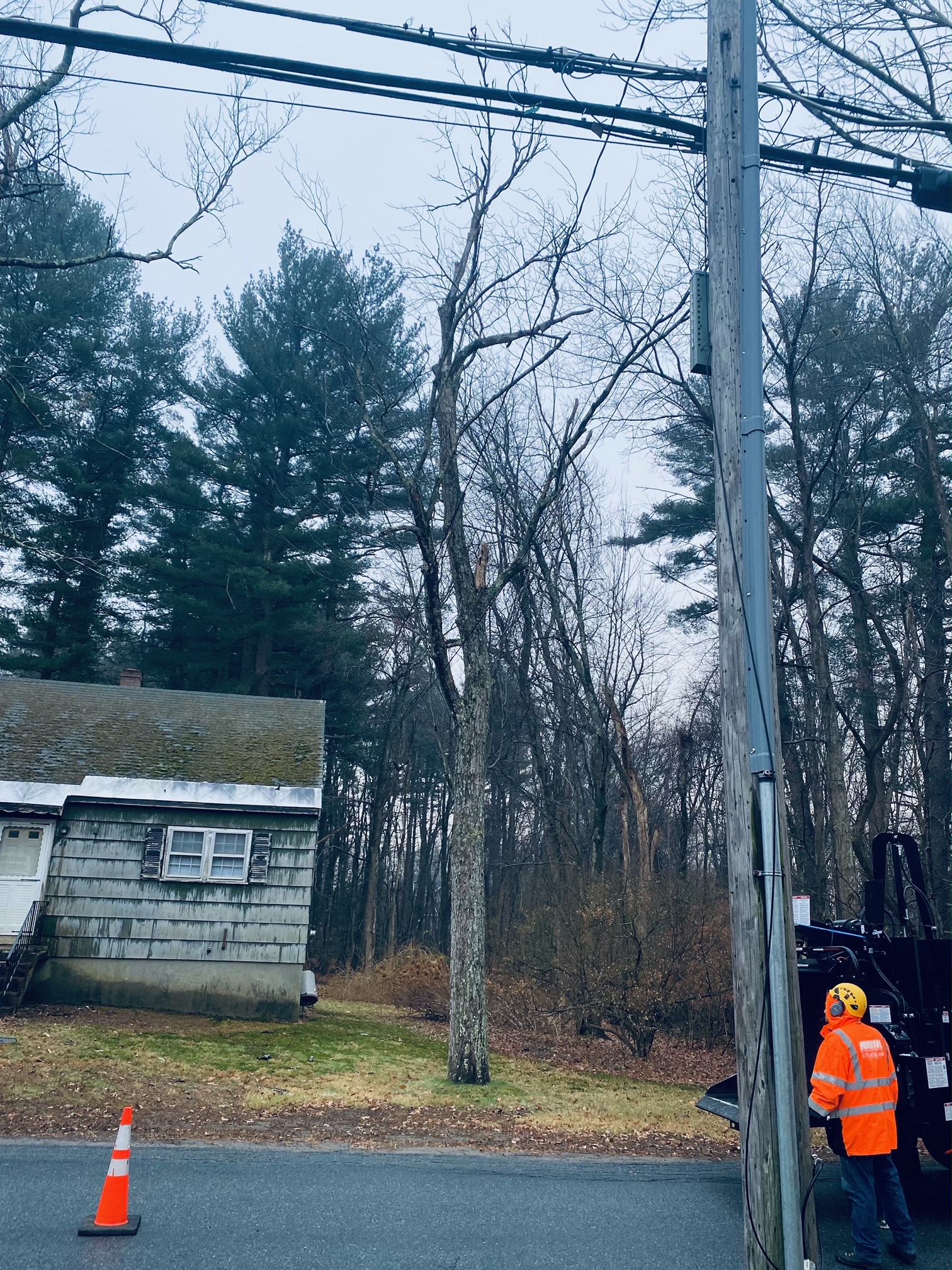 Tree Removal and Crane Rental in Tewksbury and Chelmsford, MA.