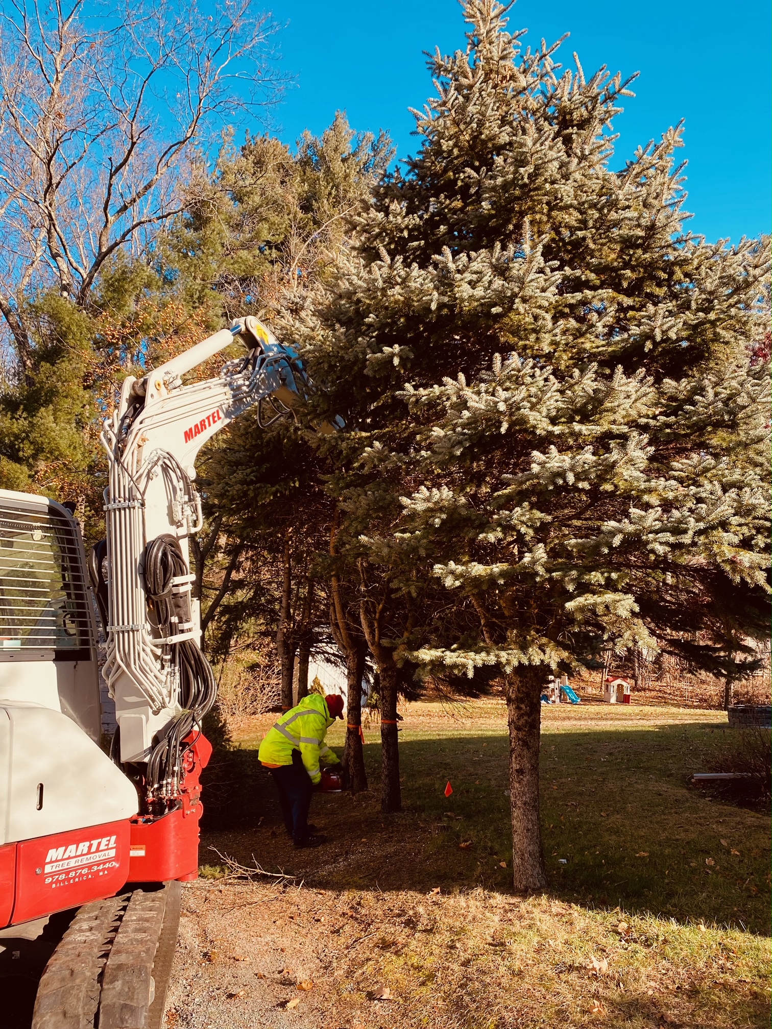 Tree Removal and Bucket Work in Chelmsford, MA.