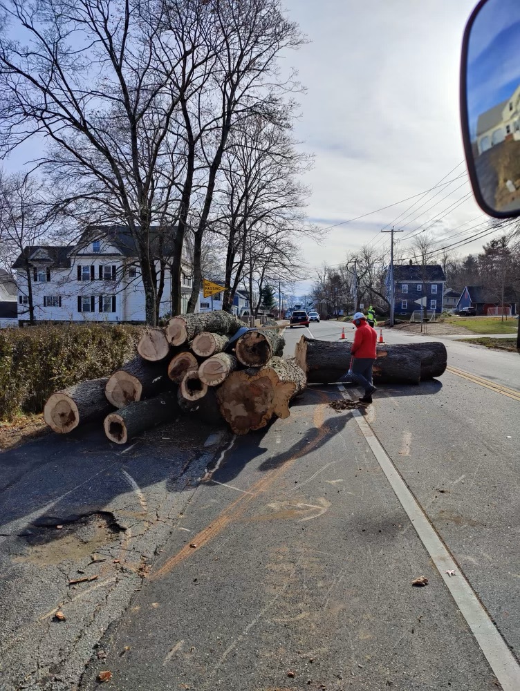 Tree Removal and Crane Rental in Tewksbury and Chelmsford, MA.