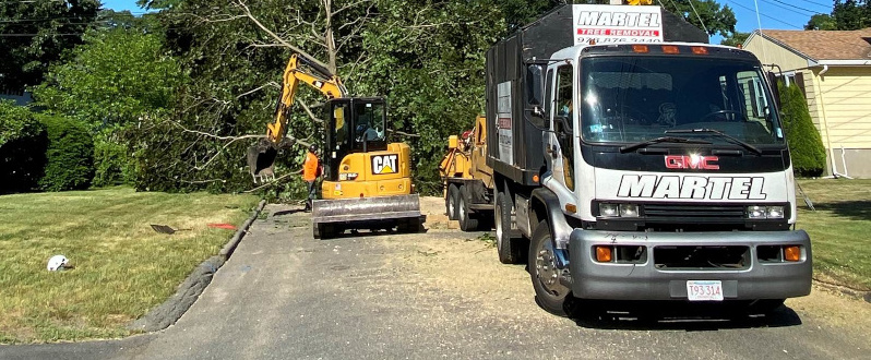 Tree Service and Removal in Wakefield, MA.