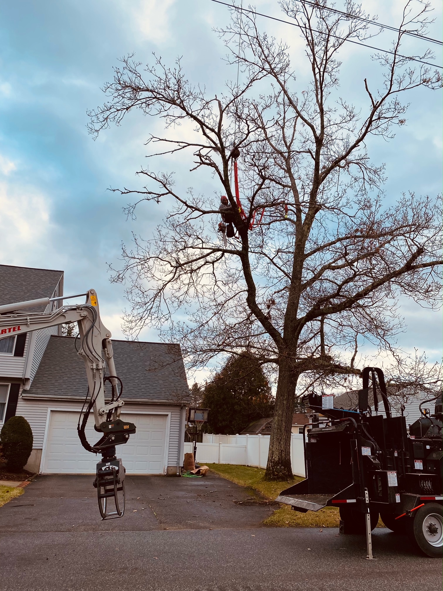 Tree Removal and Crane Rental in Tewksbury and Chelmsford, MA.