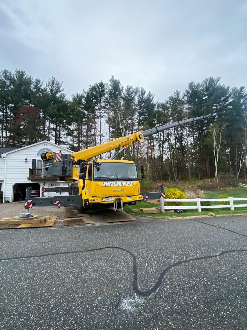 Tree Service and Removal in Billerica, MA