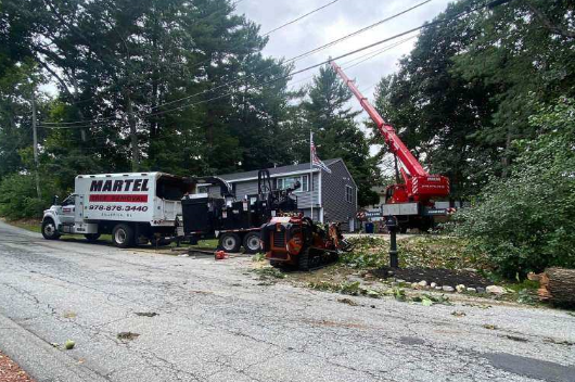 Tree Removal and Crane Service in North Billerica, MA.