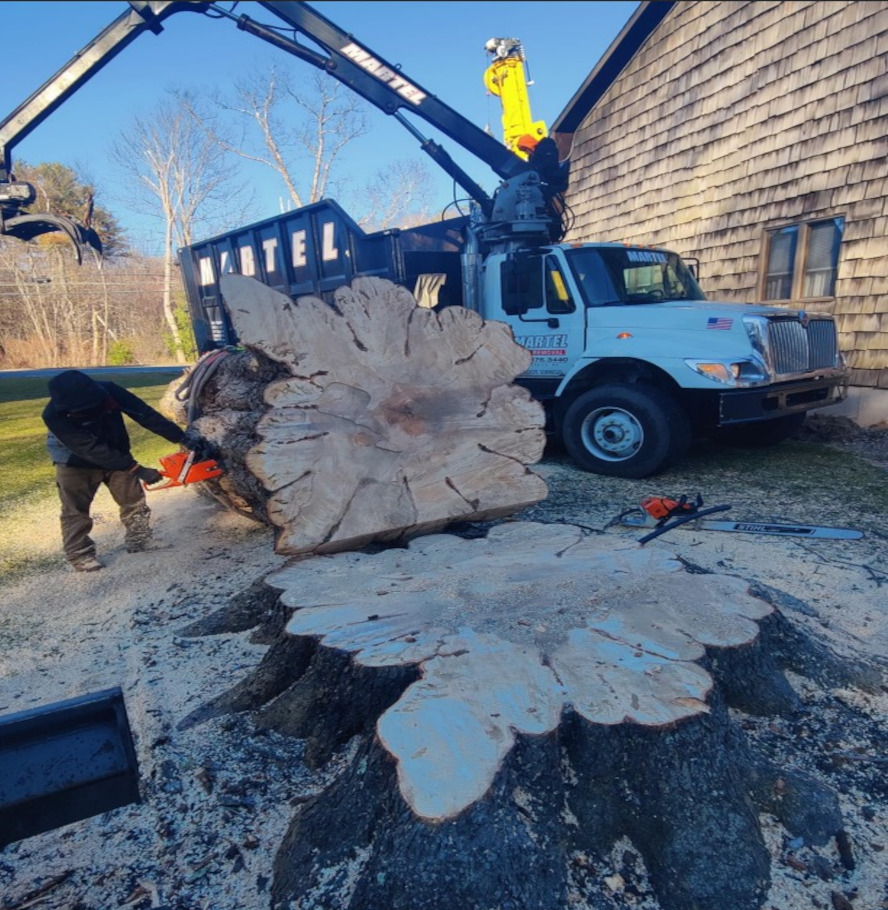 Tree Removal Service in Billerica, MA.