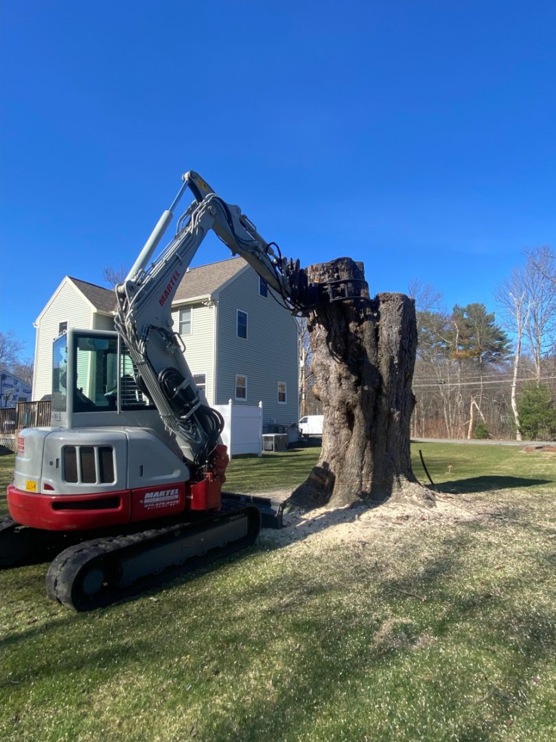 Tree Removal Service in Billerica, MA.