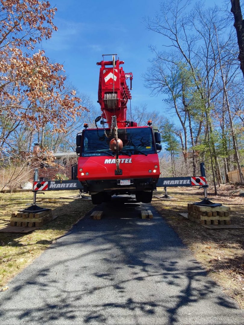 Tree Service and Removal in Chelmsford, MA