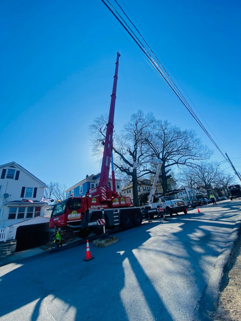 Tree Removal and Bucket Work in Lowell, MA.