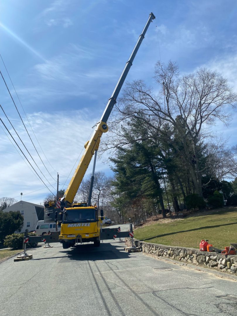 Tree Removal and Crane Service in Billerica, MA.