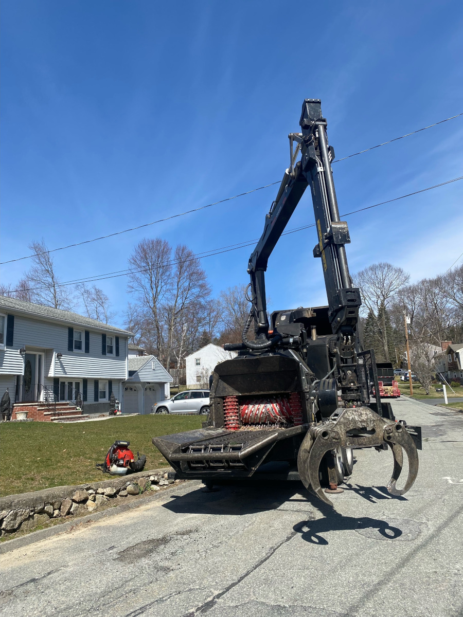 The professionals from Martel Tree Service safely removed large hardwoods from a residence in Billerica, MA.