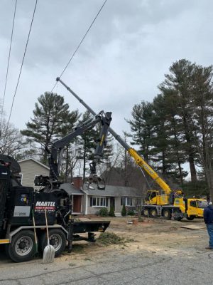 Tree Removal and Wood Chipping in Billerica MA