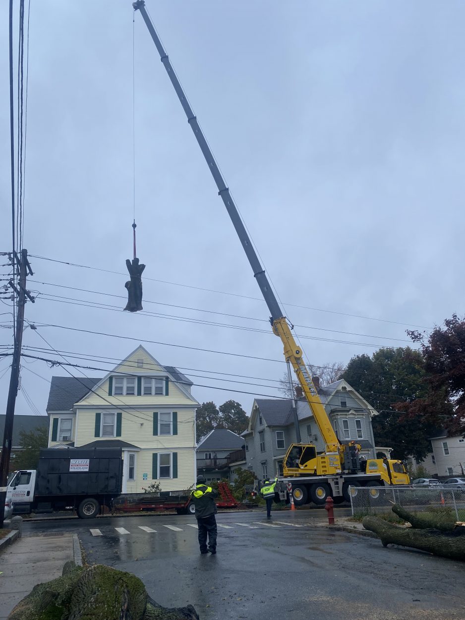 Emergency Storm Damage and Tree Removal in Lowell, MA