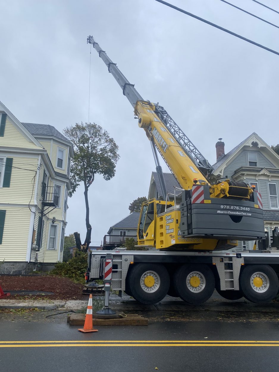 Emergency Storm Damage and Tree Removal in Lowell, MA