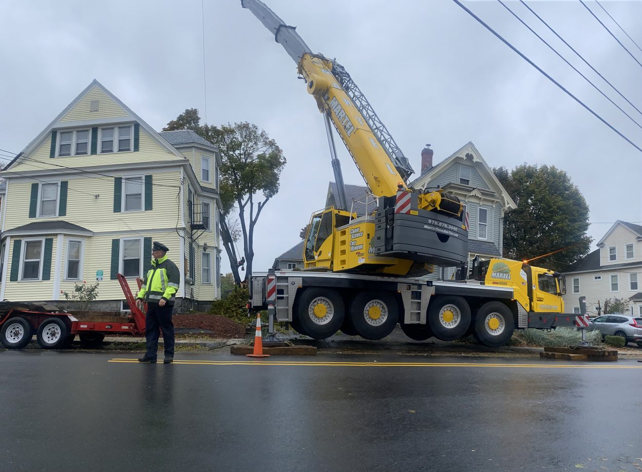 Emergency Storm Damage and Tree Removal in Lowell, MA