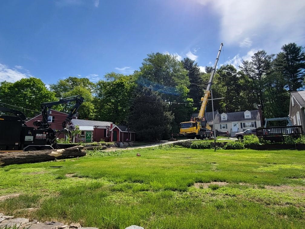Tree Removal and Tree Service in Tewksbury, MA