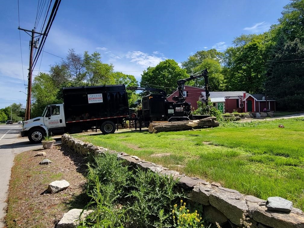 Tree Removal and Tree Service in Tewksbury, MA