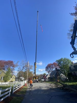 Tree Removal and Crane Service in Chelmsford, MA.