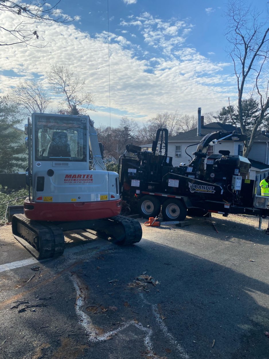 Tree Removal and Crane Service in Billerica, MA.