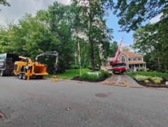 Tree Removal Service in Westford, MA.