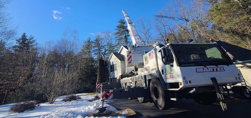 Tree Removal and Crane Service in Chelmsford, MA