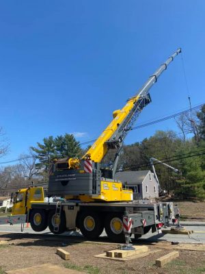 Tree Removal in Billerica, Massachusetts