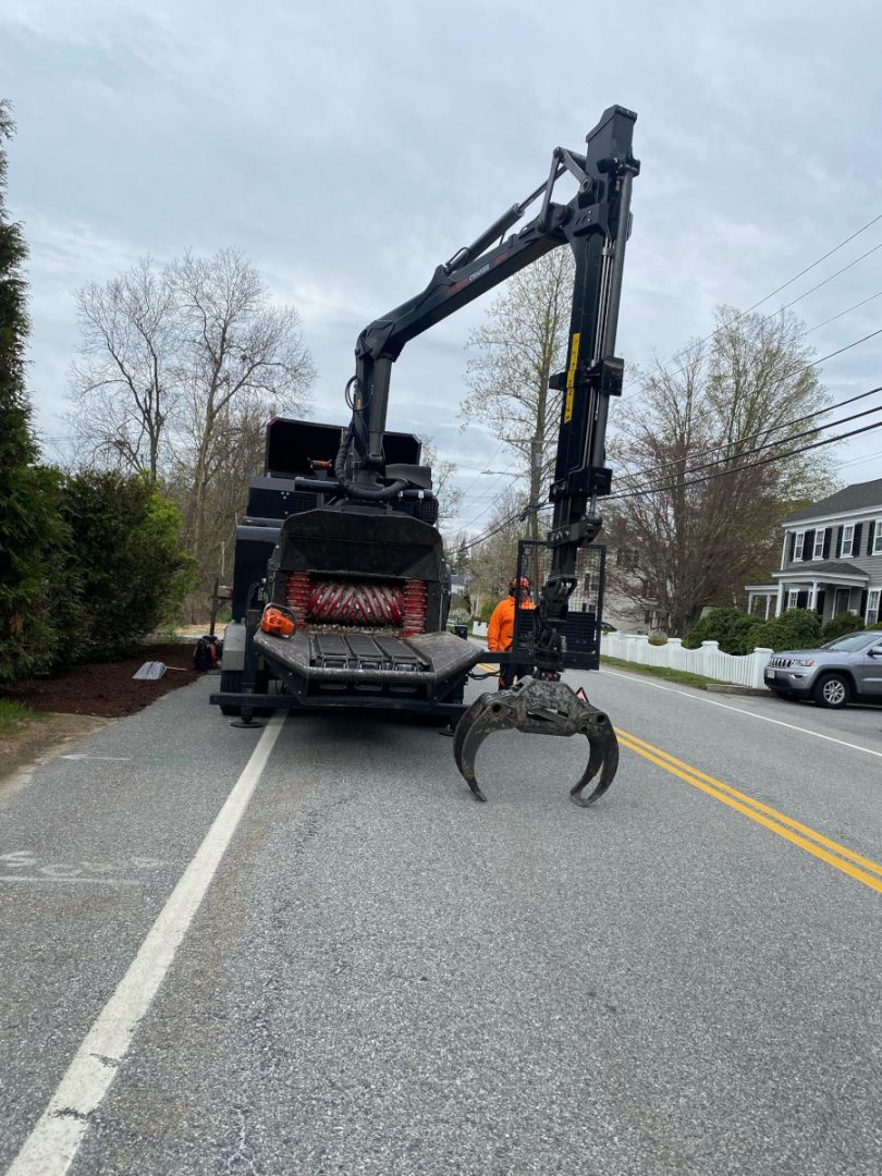 Tree Removal Service in Chelmsford, MA.