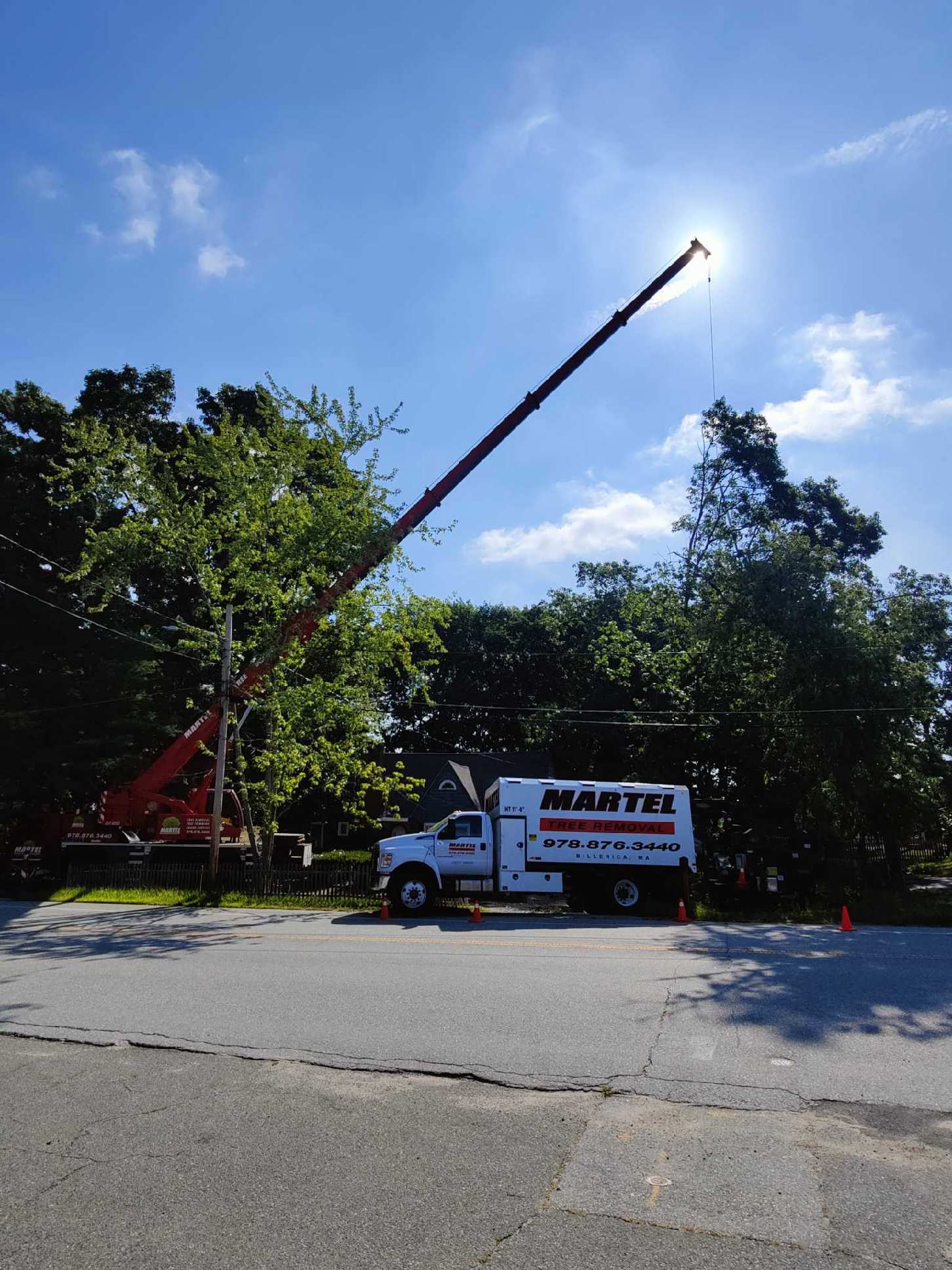 The Martel Crane and Tree crew removed several trees from this residence in Billerica, MA.