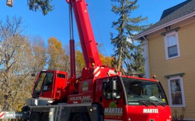 We have a red crane for removing trees.