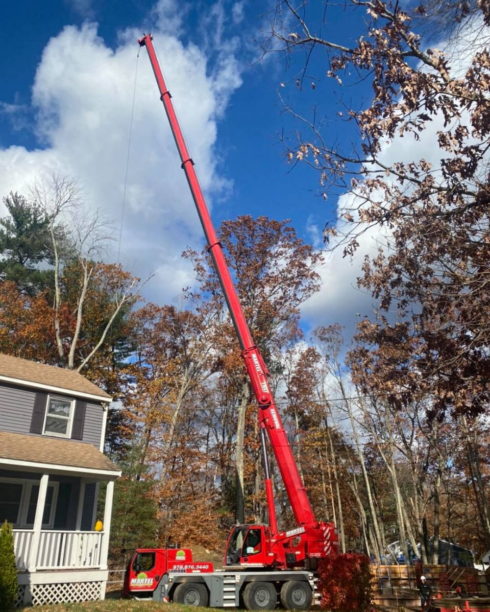 Tree removal services in Billerica