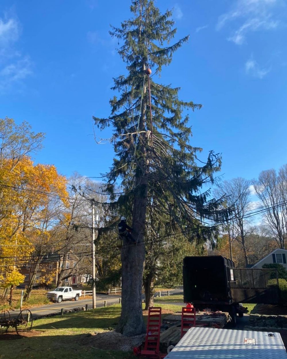 Tree removal in Billerica