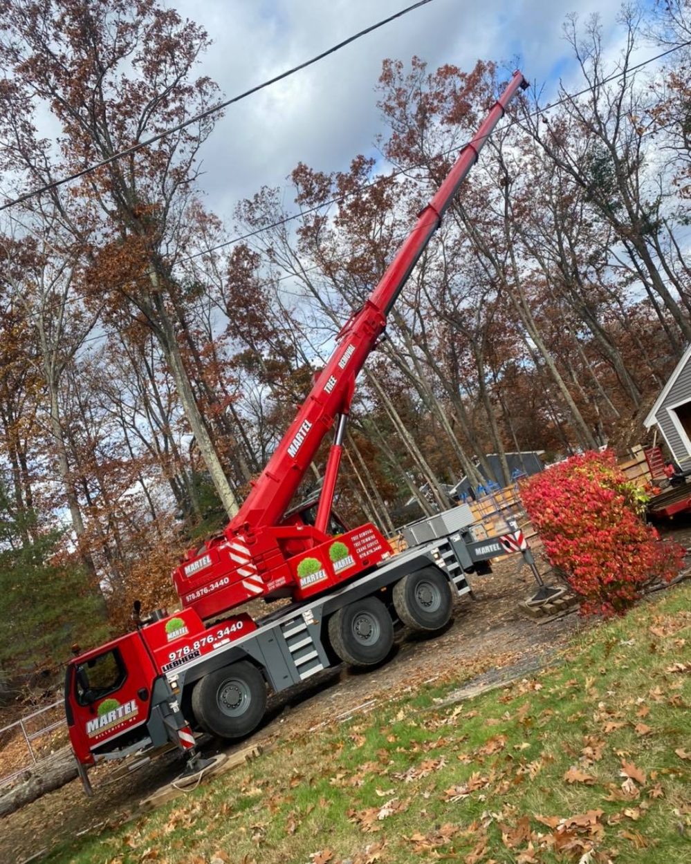 Tree removal with a crane in Billerica